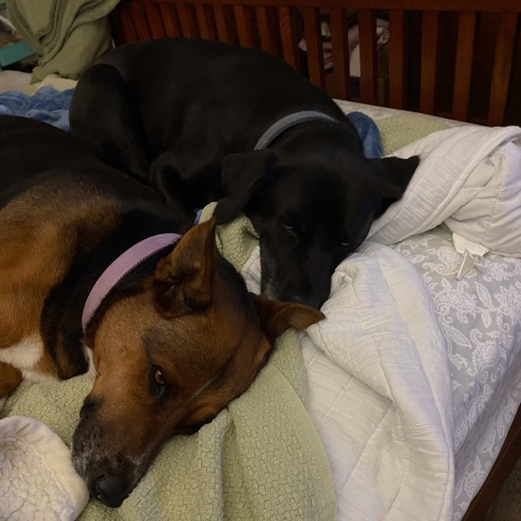 Meet your Posher, Keith - Picture 1 of 1